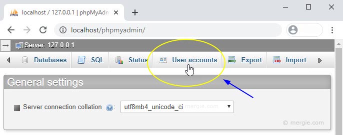 phpMyAdmin User Accounts