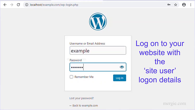 Logon to Your WordPress Website With Your Site User Details