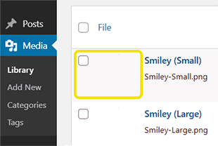 Wordpress Media Library Images not Showing (Featured Image)