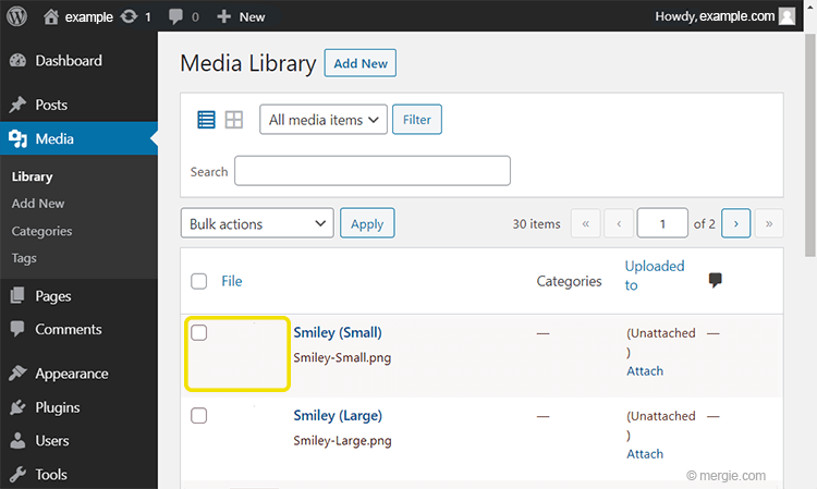 Wordpress Media Library Images not Showing