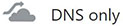 Domain Name Server (DNS) Record DNS Only (small)